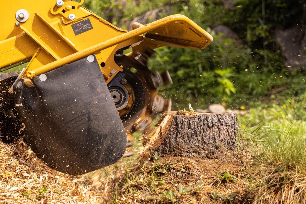 20250512164008 0 website pic stump grinding 6 1